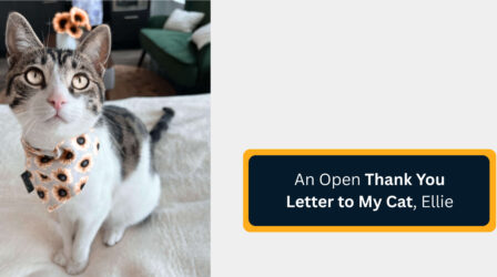 An Open Thank You Letter to My Cat, Ellie